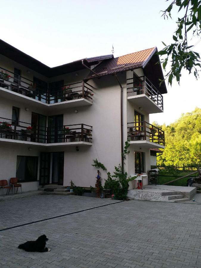 Casa Tican Bran  Exterior foto
